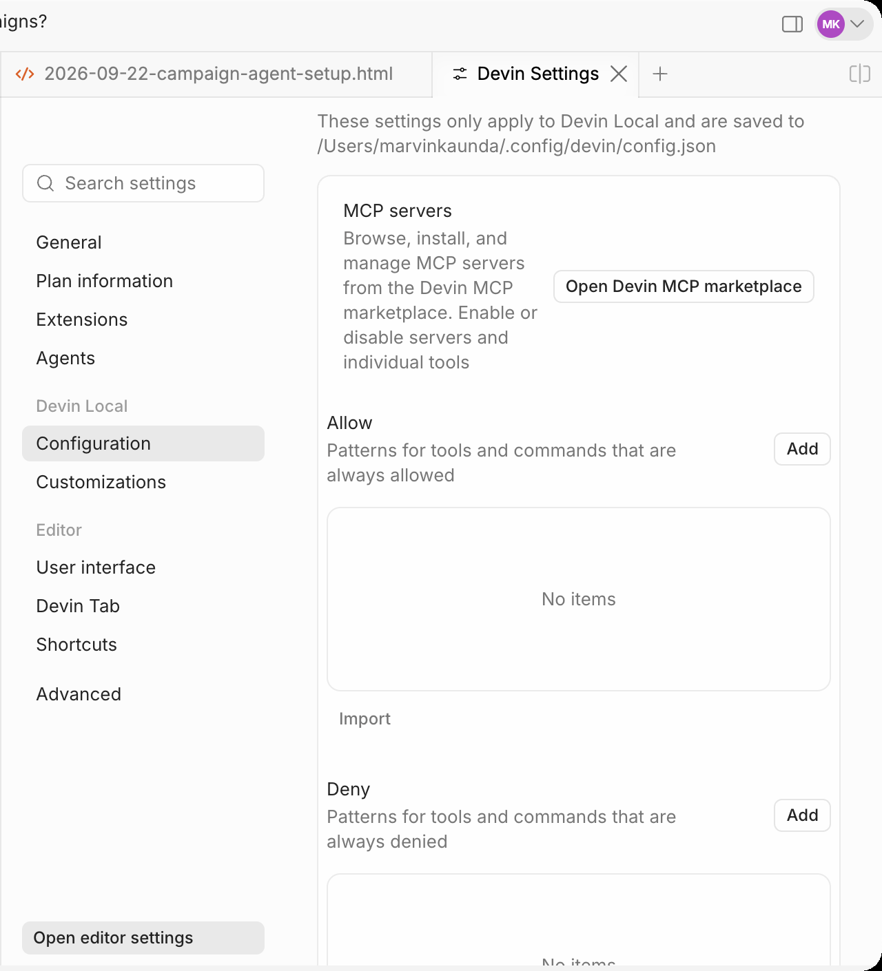 Step 2: Open Devin Local, Configuration